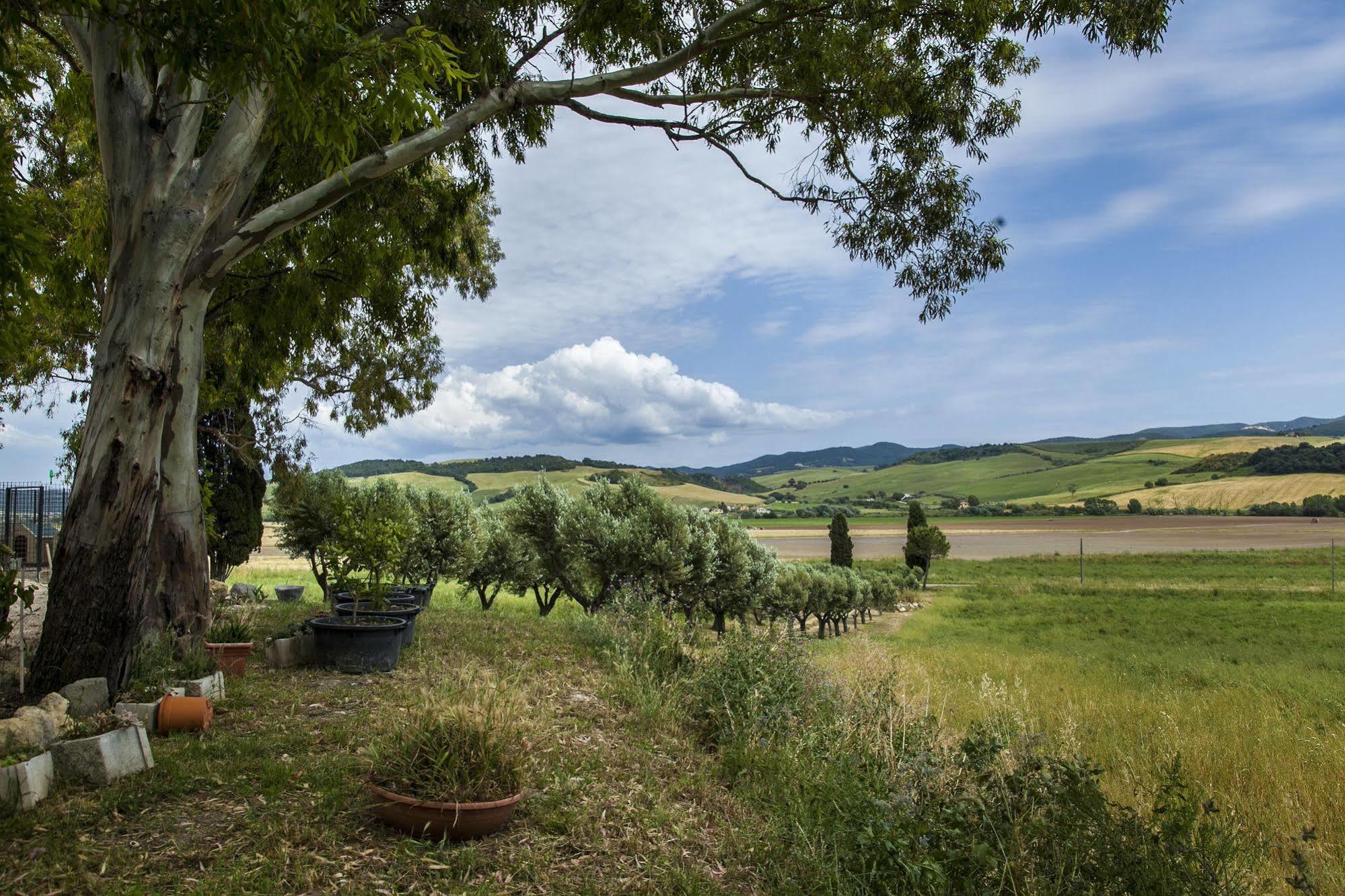 Villa Naumanni Tarquinia Zewnętrze zdjęcie